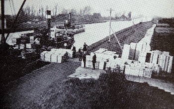 Historie 2 350 breed